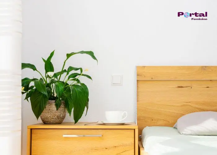 É bom ter plantas no quarto? 